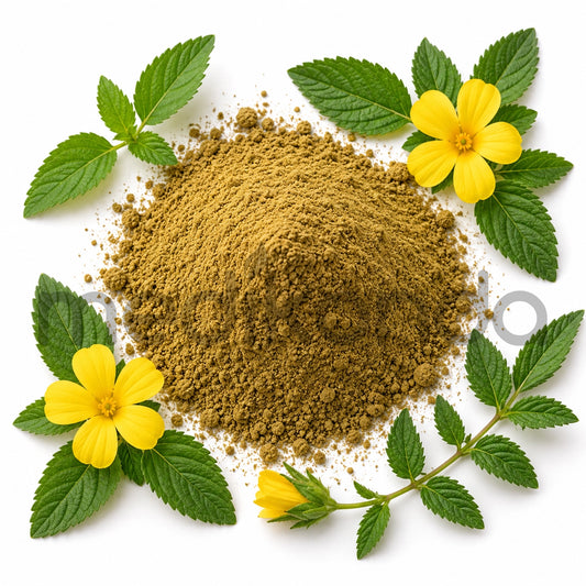 Damiana Extract Powder