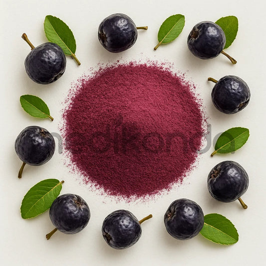 Aronia Extract Powder