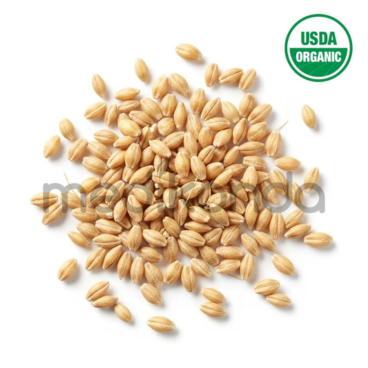 Barley Seeds