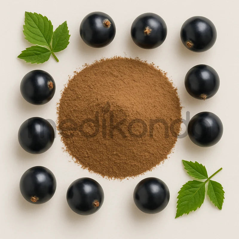 Black Currant Powder Bulk Wholesale Suppliers in Australia – Medikonda ...