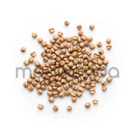 Brown Top Millet Seeds