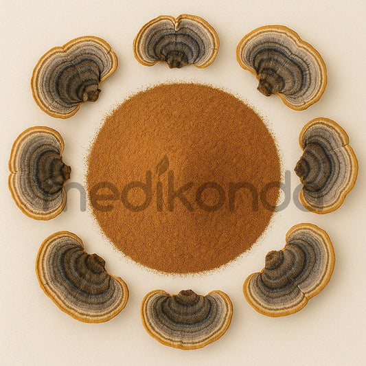 Coriolus Mushroom Powder