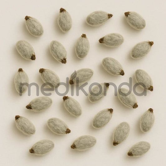 Cotton Seeds