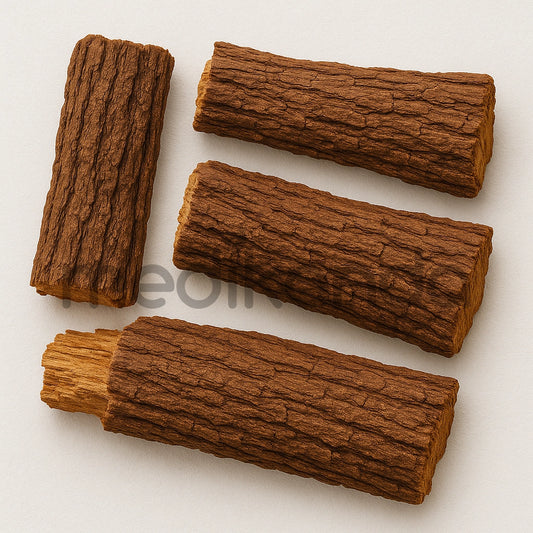 Hawaiian Acacia Confusa Root Bark - Large Pieces