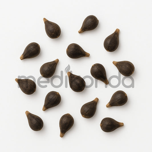 Hawaiian Baby Woodrose Seeds