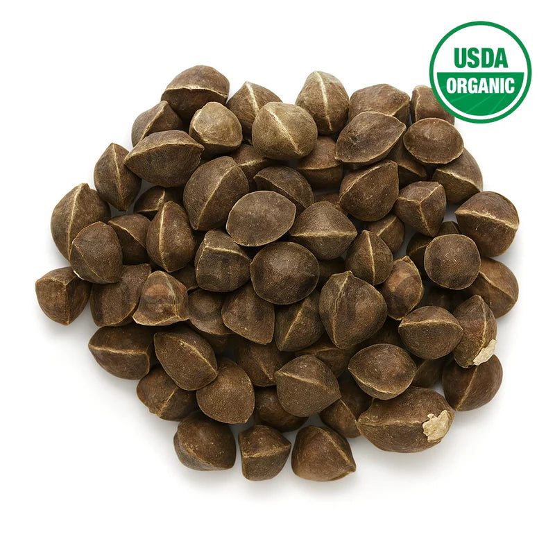 Moringa Seeds Wingless