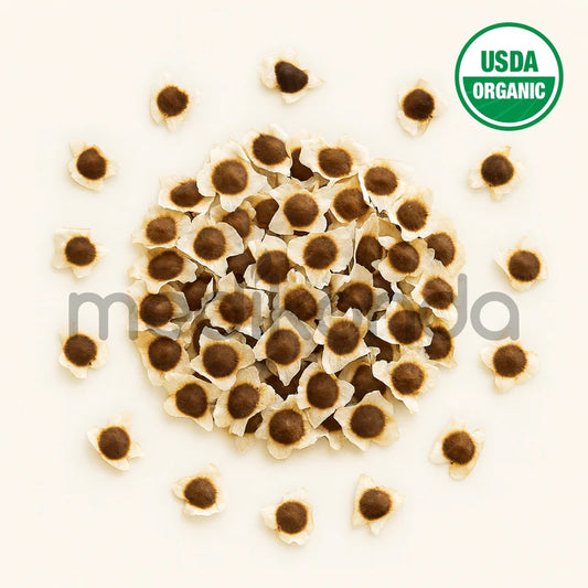 Moringa Seeds with Wings