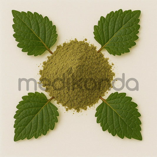 Pipsissewa Powder