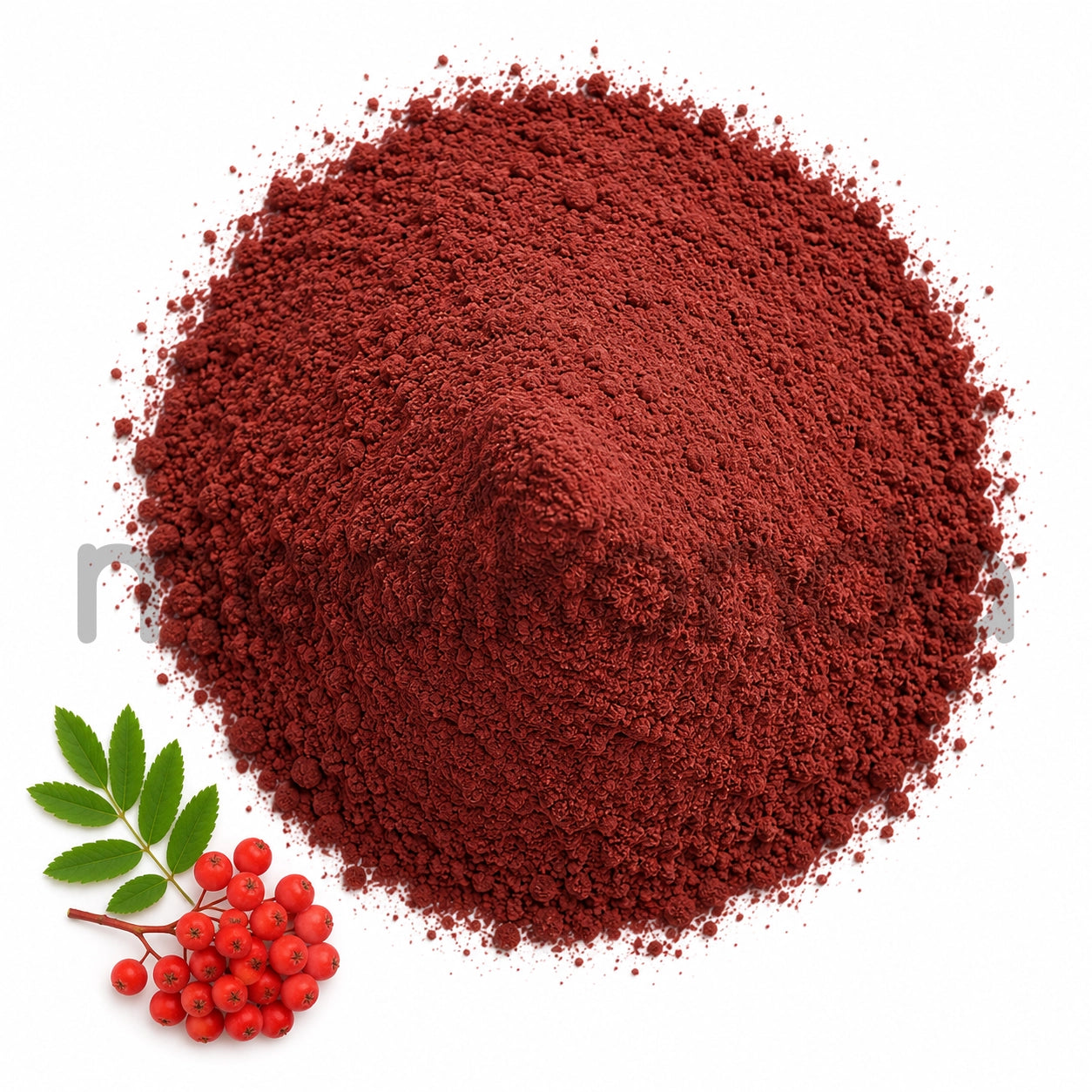 Rowan Berry Extract Powder