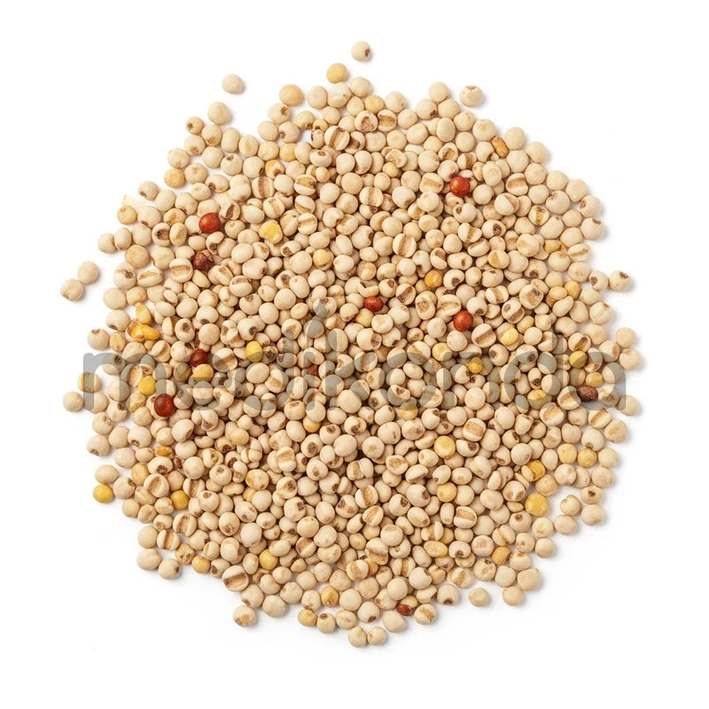 Sorghum Millet Seeds