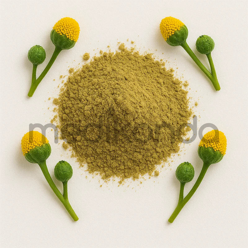 Spilanthes Powder